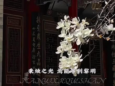 吾夫却山不曾叛国 世道崩坏 百鬼夜行 秉烛之光 焉能等到黎明#何不同舟渡 #谢却山 #南衣 #谢却山南衣 #小说