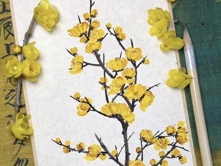预警寒潮💛没骨折枝“腊梅”香气逼人
#零基础学画画 #非遗祈福百景图 #百young非遗计划 #国画 #腊梅