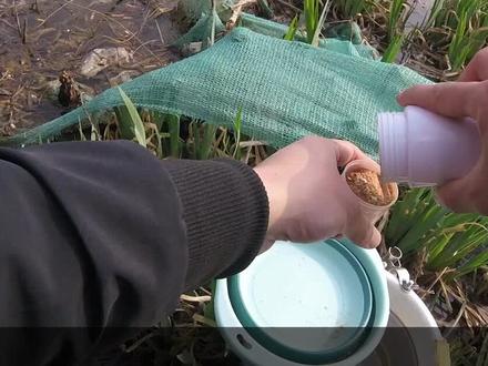 一起学钓鱼第22期:野钓打窝,我们真的有必要吗? #野钓 #打窝 #钓鱼 #窝料 #钓位 #爆户小技巧