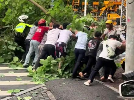 网友:在南宁没有一声“友仔”解决不了的事。#南宁精神 #能帮就帮#AI上南宁很容易