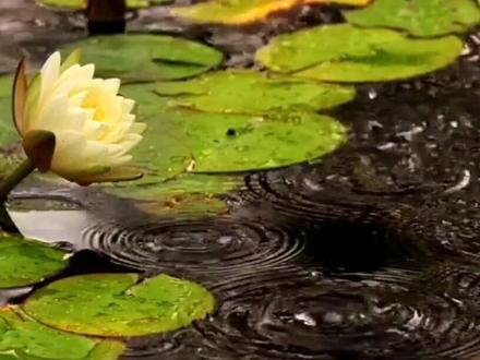 #诗词 #萌知计划@抖音青少年