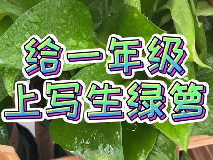 写生绿萝的粗略小过程,上课的时候比这讲的要细多啦 ,大家就凑合看吧 #儿童画