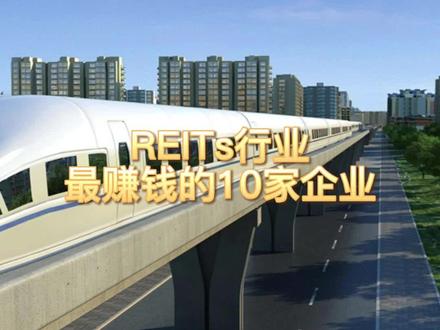 REITs行业最赚钱的10家企业#REITs #盈利能力