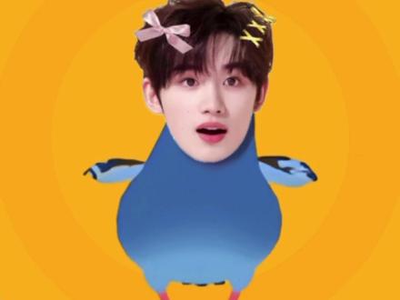 超简单疯狂的鸽子跳舞教程来了~ #人也跟着疯狂的鸽子吃上舞上了 #疯狂的鸽子 #桌面组件 #疯狂的鸽子卡点剪辑 #教程