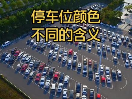 #汽车小知识 停车位颜色不同的含义