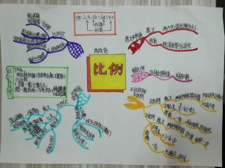同样的知识,经过孩子们的加工,图文并茂,条理清晰!