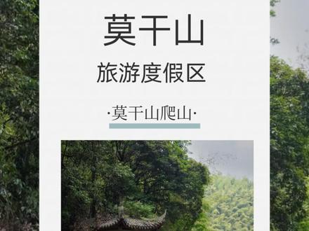 这个假期来莫干山山顶上,不知道怎么游玩的可以看看这个路线推荐,一起来莫干山登高望远吧~##莫干山国际度假区##国庆吃喝玩乐##国庆旅行指南##中秋国庆长假保姆级攻略##国庆向云端出发
