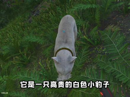孤岛惊魂6:为了干翻敌军!我们硬是抢了架直升机,用来拉物资