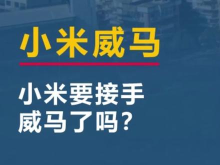 小米要接手威马?#威马汽车 #小米汽车 #瓯江口
