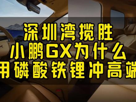 深圳湾揽胜——小鹏GX为什么用磷酸铁锂冲高端?谜底就在谜面上#小鹏GX #大众9X #蔚来ES8