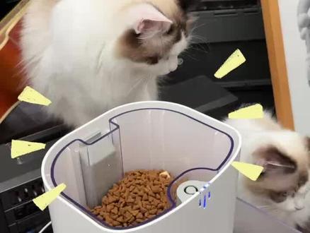 #catlink #智能喂食器 老款少少量有货,清仓哦,来直播间看看