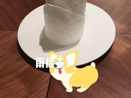 #手工布艺 雨后春笋教学