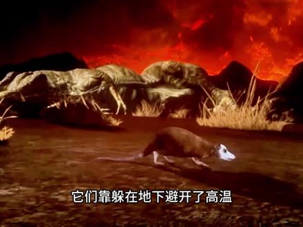 你正在玩一款46亿年没关过服的游戏,但没人知道开发者是谁 地球Online,人类史上最伟大的游戏。开服46亿年,零停机,零维护,80亿玩家同时在线从未崩服,至今没人知道开发者是谁。但你有没有想过,开服第一天是什么样的?没有水,没有大陆,地表全是烧了几亿年的岩浆,天上每小时都在砸陨石。一个炼狱般的火球,怎么一步步变成住满80亿人的蓝色星球?从第一滴水的来源到月球被撞出来的真相,从下了几百万年的暴雨到差点冻死一切的雪球地球,从恐龙的崛起灭亡到200个智人走出非洲——46亿年完整地球进化史,比任何游戏剧情都疯狂。#地球online #地球诞生 #科普 #知识前沿派对 #青年创作者成长计划