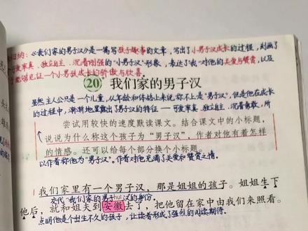 #小学语文 四年级下册《我们家的男子汉》