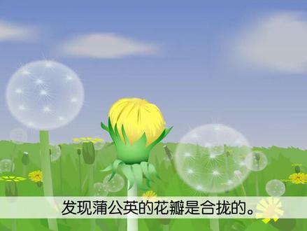 三年级上册语文——金色的草地