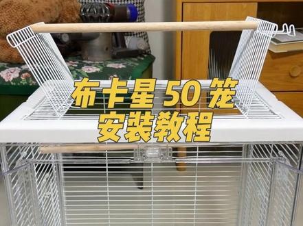 布卡星 50 笼安装教程!#布卡星50星赏鸟笼 #布卡星鸟笼 #布卡星鸟笼安装 #鸟笼安装视频
