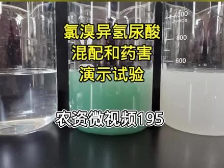农资微视频195:氯溴异氰尿酸与其他产品的混配和药害演示试验 #杀菌剂 #氯溴异氰尿酸 #药害 #植物病害防治