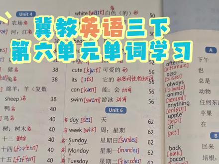 冀教版英语三下第六单元单词学习!#冀教版小学英语 #单词速记 #三下英语