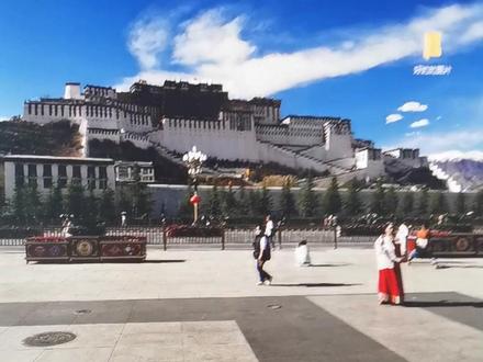 如何设置电脑桌面壁纸?电脑桌面壁纸不到边,怎么办?把自己喜欢的图片设置为电脑桌面#0基础学电脑 #文员零基础入门教程 #office办公技巧 #键盘知识 #办公技巧