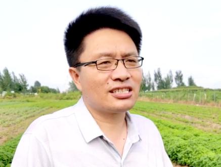 你知道哪种香草”招蜂引蝶“吗?#香草 #香草园 #柠檬 @抖音小助手