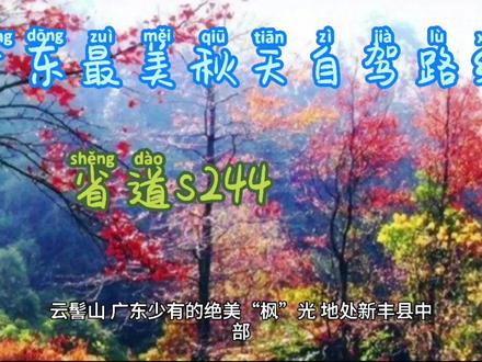 广东最美秋天自驾游线路省道s244