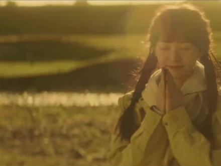 那年在康定我埋下了属于我们的爱情花#康定#田曦薇#七年#初恋#何之南