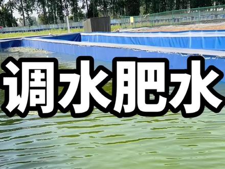 学习专业知识,少缴智商税#水蛭蚂蟥养殖 #养殖基地 #蚂蝗 #水蛭养殖 #农村创业养殖