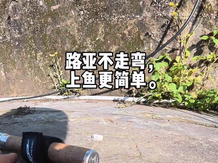微物路亚纺车轮的选择心得 #微物路亚#路亚新手入门教程 #池刃银蝉二代 #池刃路亚 #纺车轮推荐