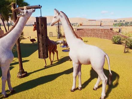 动物园之星40:长颈鹿和鸵鸟一起住,诶呦~不错哦!#游戏 #动物园之星 #长颈鹿 #鸵鸟