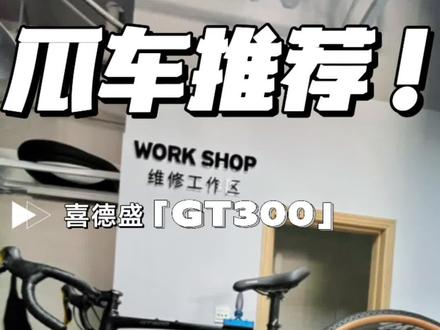 入门瓜车喜德盛gt300。#喜德盛 #公路车 #骑行 #自行车推荐 #自行车