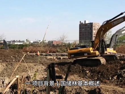 国储林项目内涵及申报流程#专业盘活闲置土地 #乡村建设 #生态 #产业 #资金