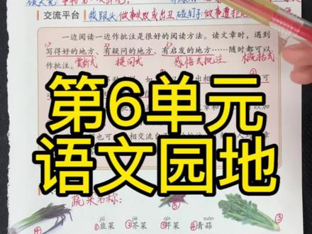 四年级上册语文第四单元语文园地重点#四年级语文