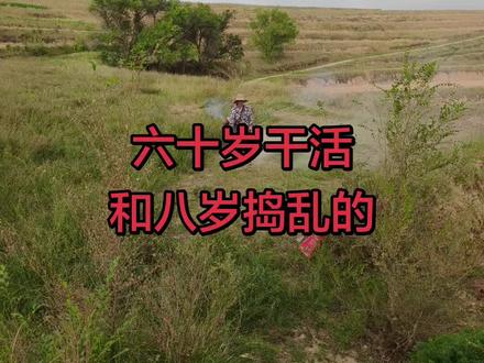 #在农村就该有农村娃的样子 #勤劳致富靠双手 #开荒种地记录我的农村生活 #一分耕耘一分收获 #田间地头割草 六十岁的干活,七岁的捣乱,三十岁的为你们拍下这一刻,知足常乐,又何尝不是一种幸福🥰了