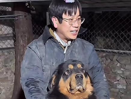 14:30小助理是大功臣 及时抱起我们的好狗冬冬 成功阻止了一场“世界大战”#骏良门头沟狗狗#坏狗冬冬#被窝#胖宝宝之夫#蒜皮