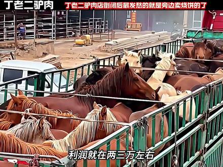 丁老二驴肉店倒闭后最发愁的就是旁边卖烧饼的了#丁老二驴肉#动物@dou+小助手