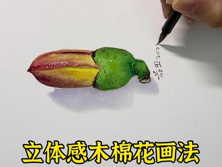 立体感木棉花这么画~
直接上手“拍”🤪
#水彩 #一起学画画 #创意美术 #艺术