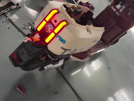 发个慢一点的#台铃苍穹电自版 #台铃电动车