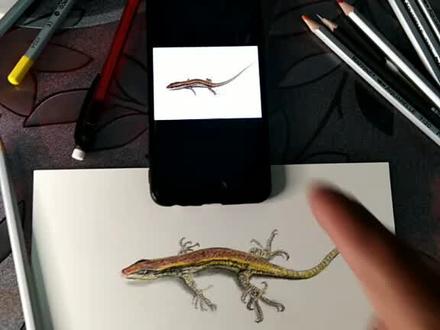 彩铅画的小壁虎,效果不错