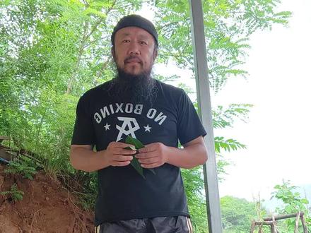 真传站桩一句话讲清楚#听君一席话胜读十年书