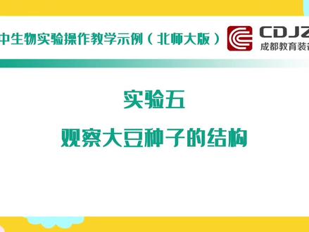 实验五:大豆。更多精彩内容欢迎登录成教音画(百度)平台进行浏览学习,争取学生考出好成绩
#成都中考 #成教音画 #实验操作考试 #初中生物实验 #初二生物 #初中实验考试