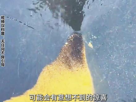 带你认识不同的土,你都认识哪些? #土 #黑土 #稀土 #科普