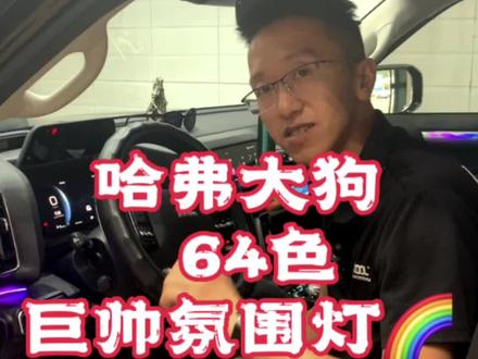 别人有的,咱也得有!#哈佛大狗 #氛围灯效果 #无损改装 彩虹🌈飘带带你一路精彩无限♾️️