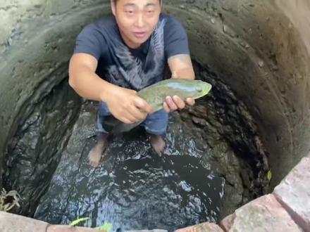 #现场实拍 ,今天帮舅舅家清理水井,发现大货,蛇鱼,念鱼,