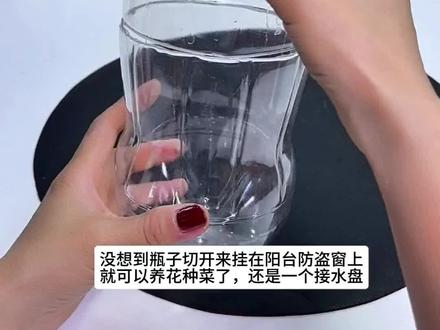 塑料瓶割开挂在阳台防盗窗上就可以种菜养花了 #自制阳台小菜园 #变废为宝#阳台种菜小妙招 #生活小妙招