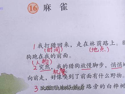 四年级上册语文《麻雀》课文讲解,伟大的母爱,让每个人动容。#四年级语文 #小学语文 #开学必备 #学霸秘籍 #小学语文课本