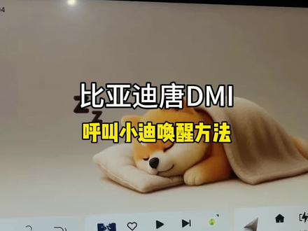 比亚迪车主如果我们唤醒小迪没有反应,很有可能是两个方法没有设置好 ,今天一条视频分享给大家 希望能帮到你 #比亚迪唐DMI#用车技巧 #国产之光