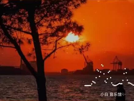 当离别开出花,伸出新长的枝芽。#音乐分享 ##音乐治愈