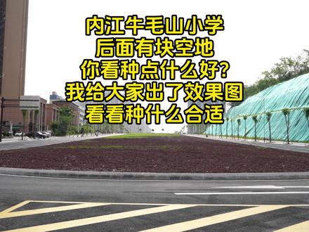 内江东兴区牛牦山小学外面的这个空地 你觉得种什么比较合适?#内江 #AI创作 #城市规划 #种花