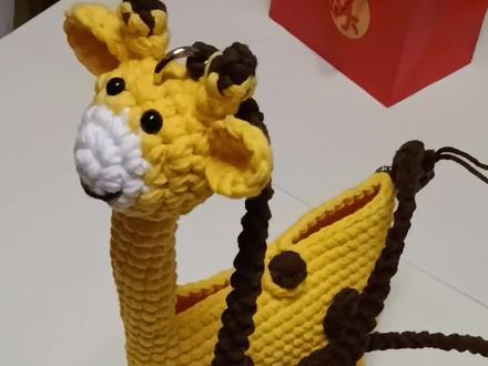 30一个?这钱我是挣不了,谁能挣谁挣吧#真实生活分享计划 #长颈鹿包包 #济南动物园 #手工钩织