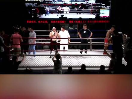 下场三番战综合格斗再分胜负好吧!#一虎#赵子龙